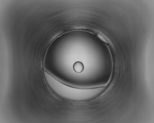 X0000113081281200909041121