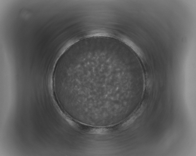 X0000113081282200909041121