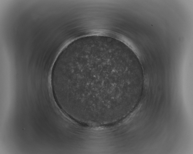 X0000113081283200909041121