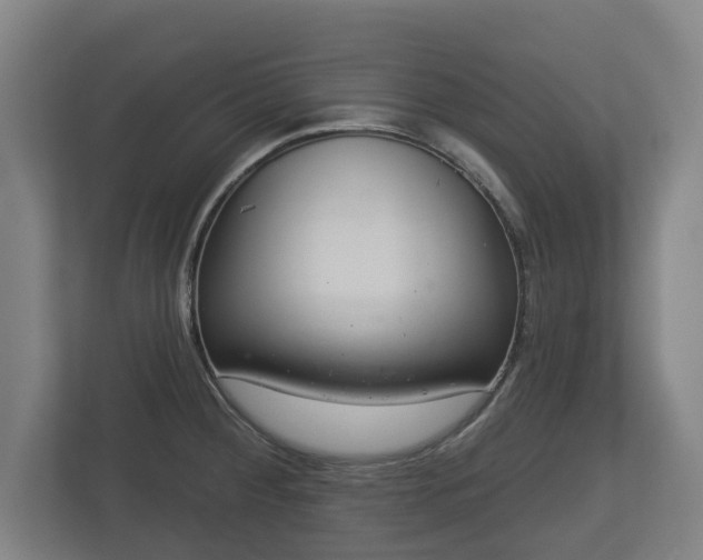 X0000113081284200909041121