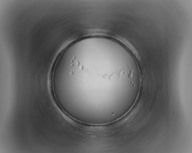 X0000113081285200909041121