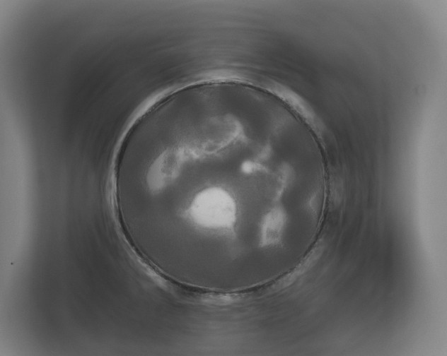 X0000113081286200909041121