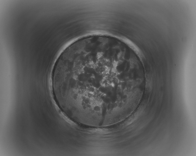 X0000113081287200909041121