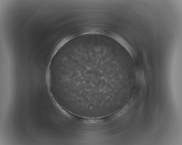 X0000113081290200909041121