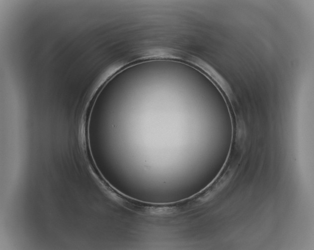 X0000113081293200909041121