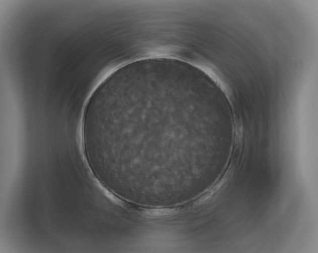 X0000113081294200909041121