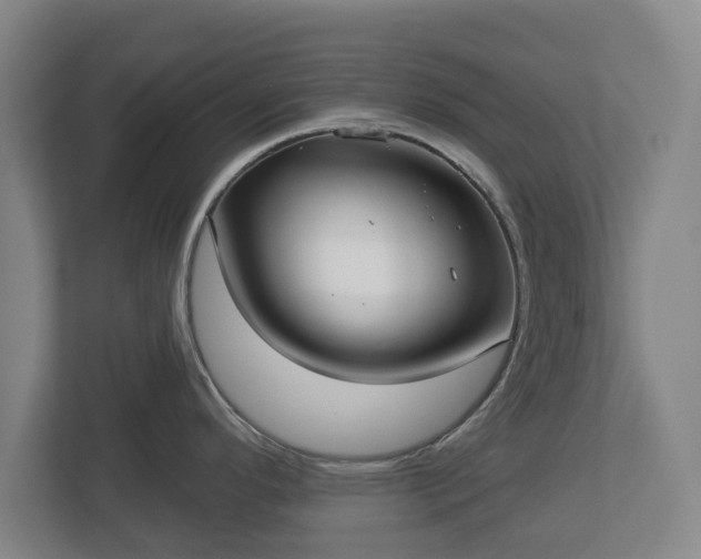 X0000113081296200909041121