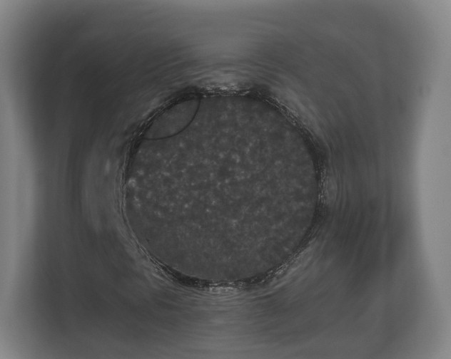 X0000113081297200909041120