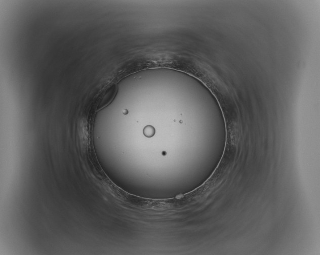 X0000113081298200909041120