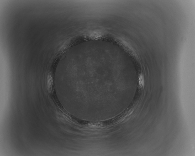 X0000113081299200909041120