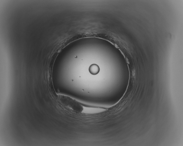 X0000113081300200909041120