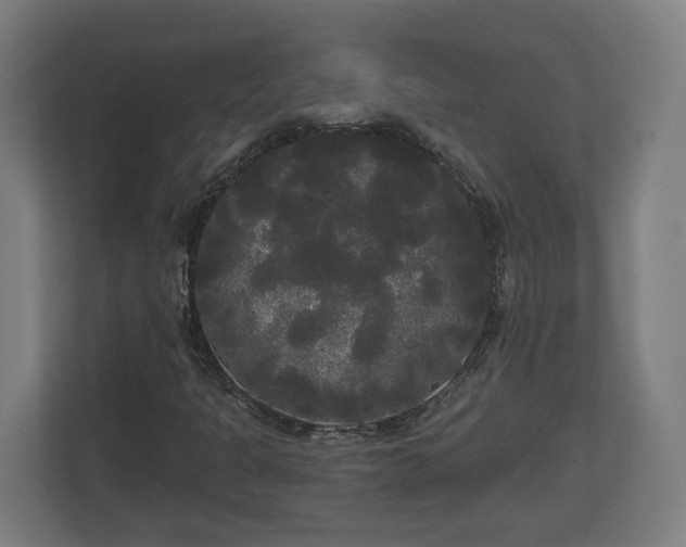 X0000113081301200909041120