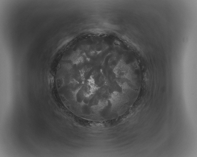 X0000113081302200909041120