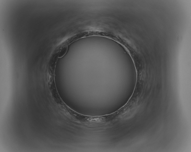 X0000113081303200909041120