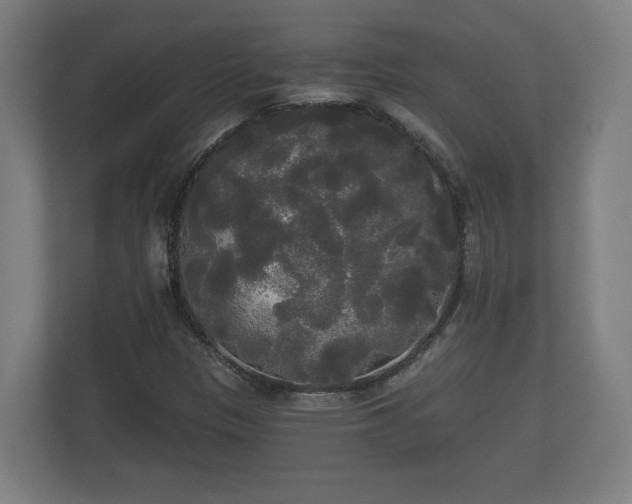 X0000113081305200909041120