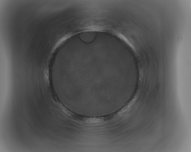 X0000113081307200909041120