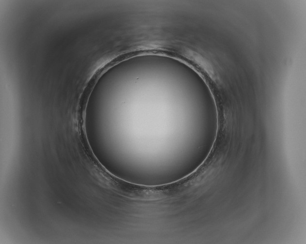 X0000113081308200909041120