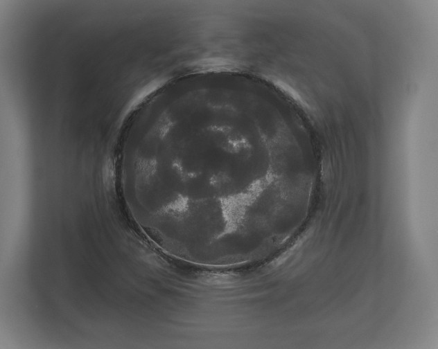 X0000113081309200909041120