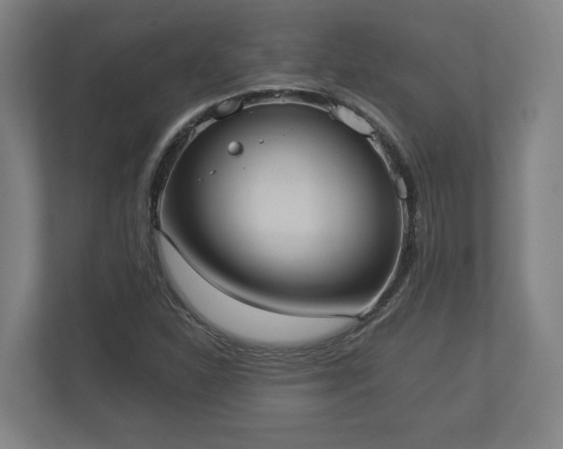 X0000113081310200909041120