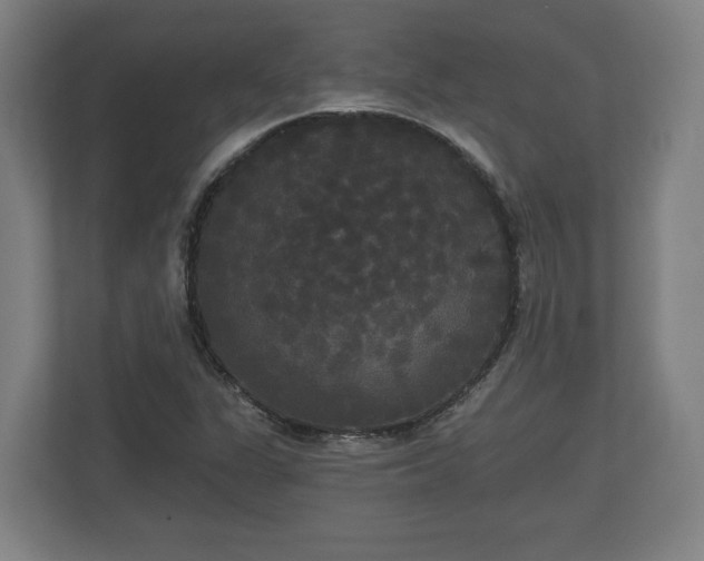 X0000113081311200909041120