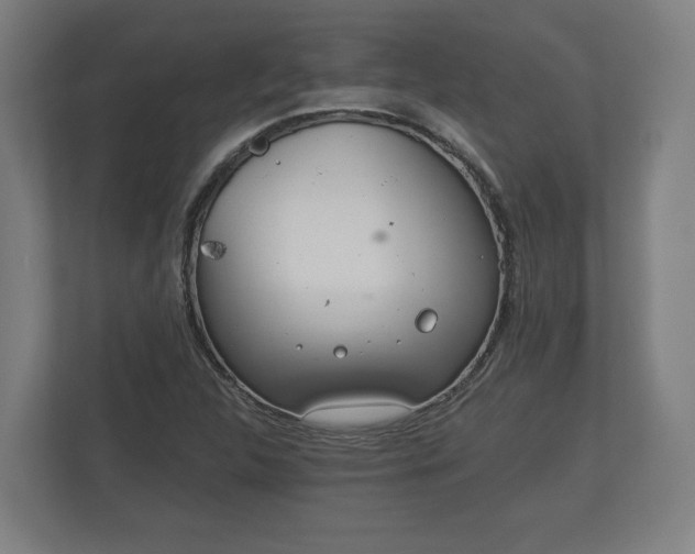 X0000113081312200909041120