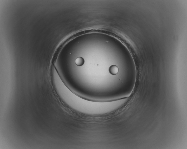 X0000113081316200909041121