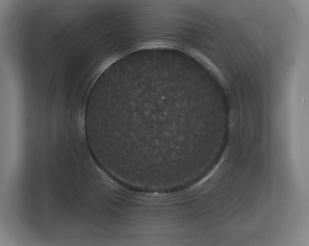 X0000113081321200909041121