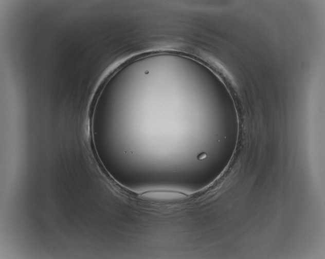 X0000113081324200909041121