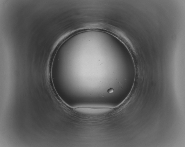 X0000113081328200909041121