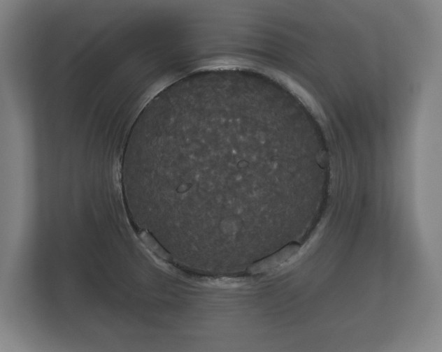 X0000113081329200909041121