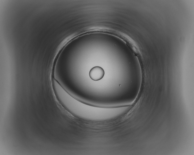 X0000113081330200909041121