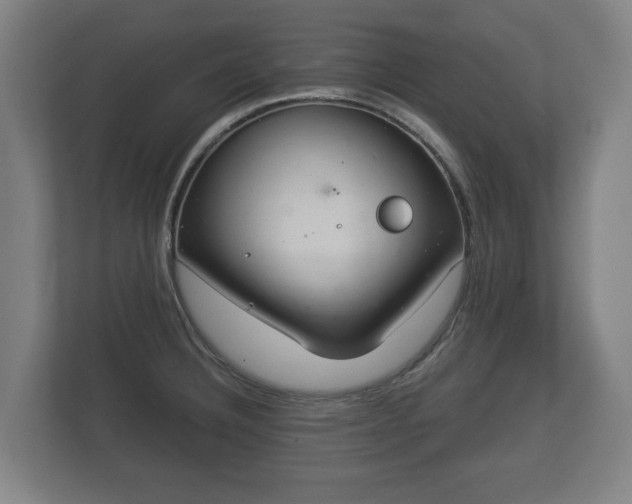 X0000113081332200909041121