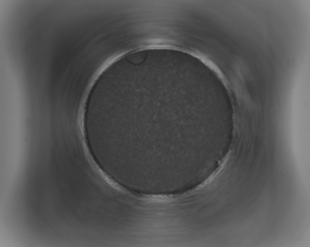 X0000113081333200909041121