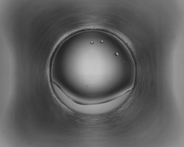 X0000113081334200909041121