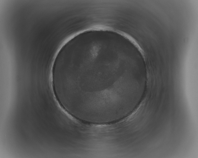 X0000113081335200909041121