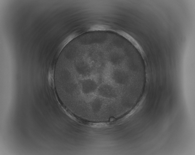 X0000113081337200909041121