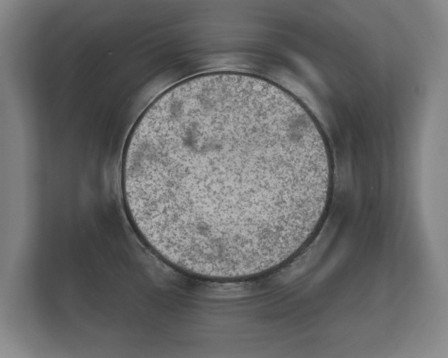 X0000113081338200909041121