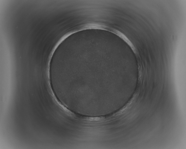 X0000113081339200909041121