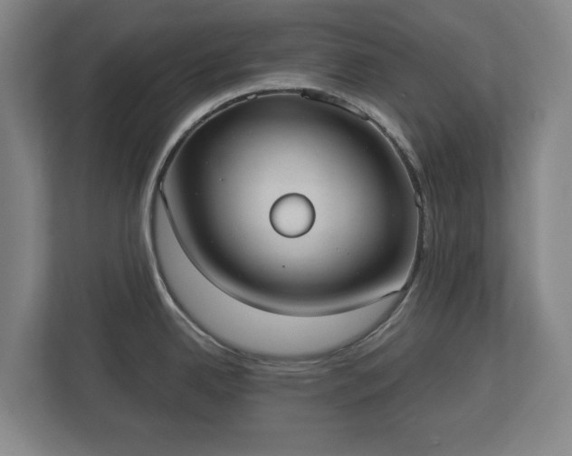 X0000113081342200909041121