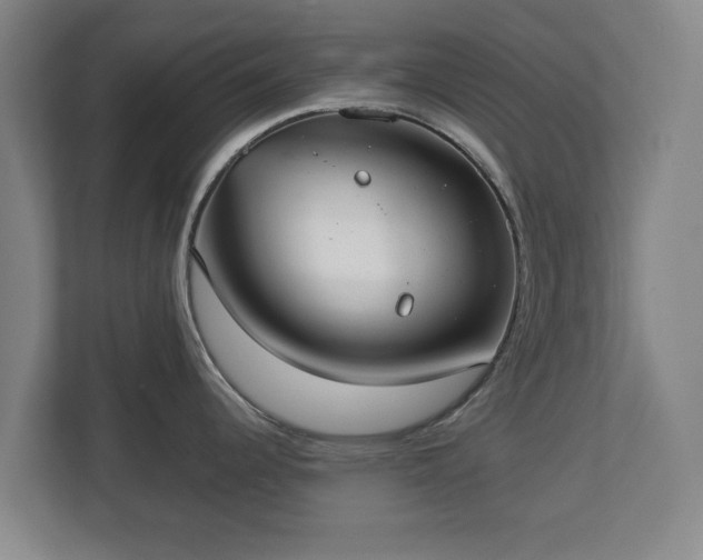 X0000113081344200909041121