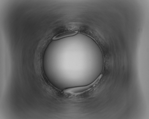 X0000113081345200909041120