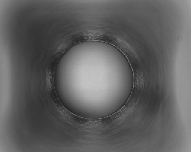 X0000113081346200909041120