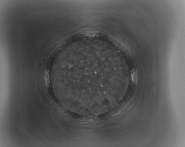 X0000113081347200909041120