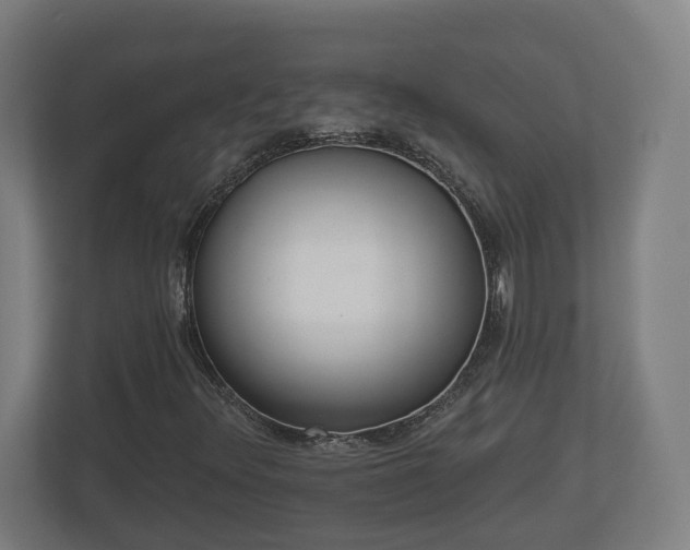 X0000113081348200909041120