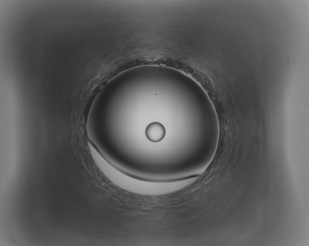 X0000113081349200909041120