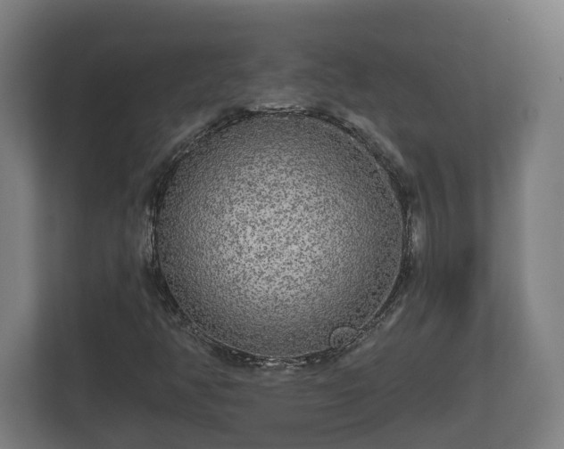 X0000113081350200909041120