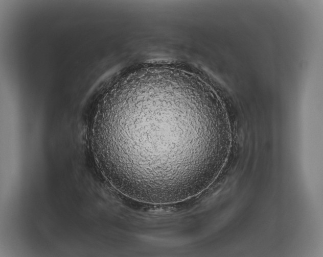 X0000113081351200909041120