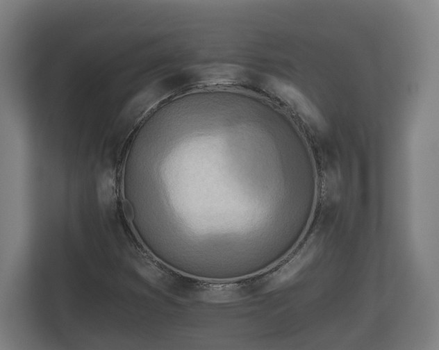 X0000113081353200909041120