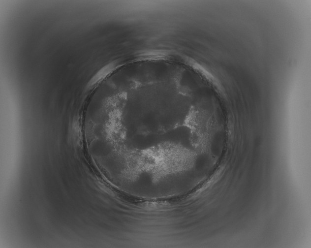 X0000113081354200909041120