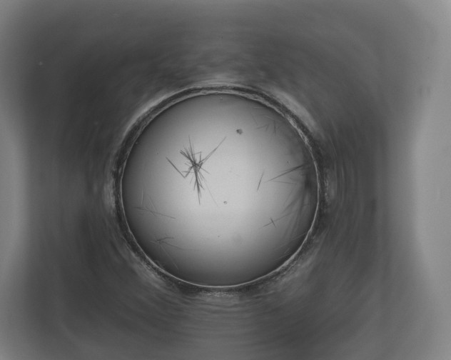 X0000113081356200909041120